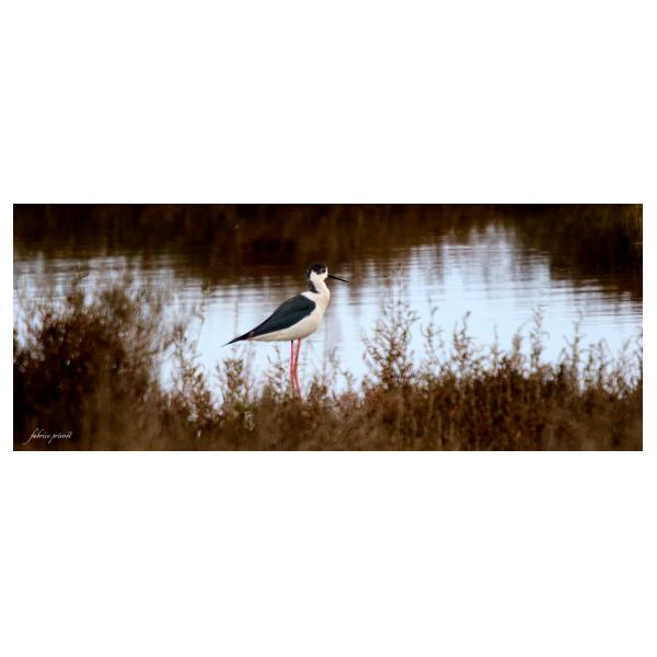 PHOTO84, CLUB, 84 , LUBERON